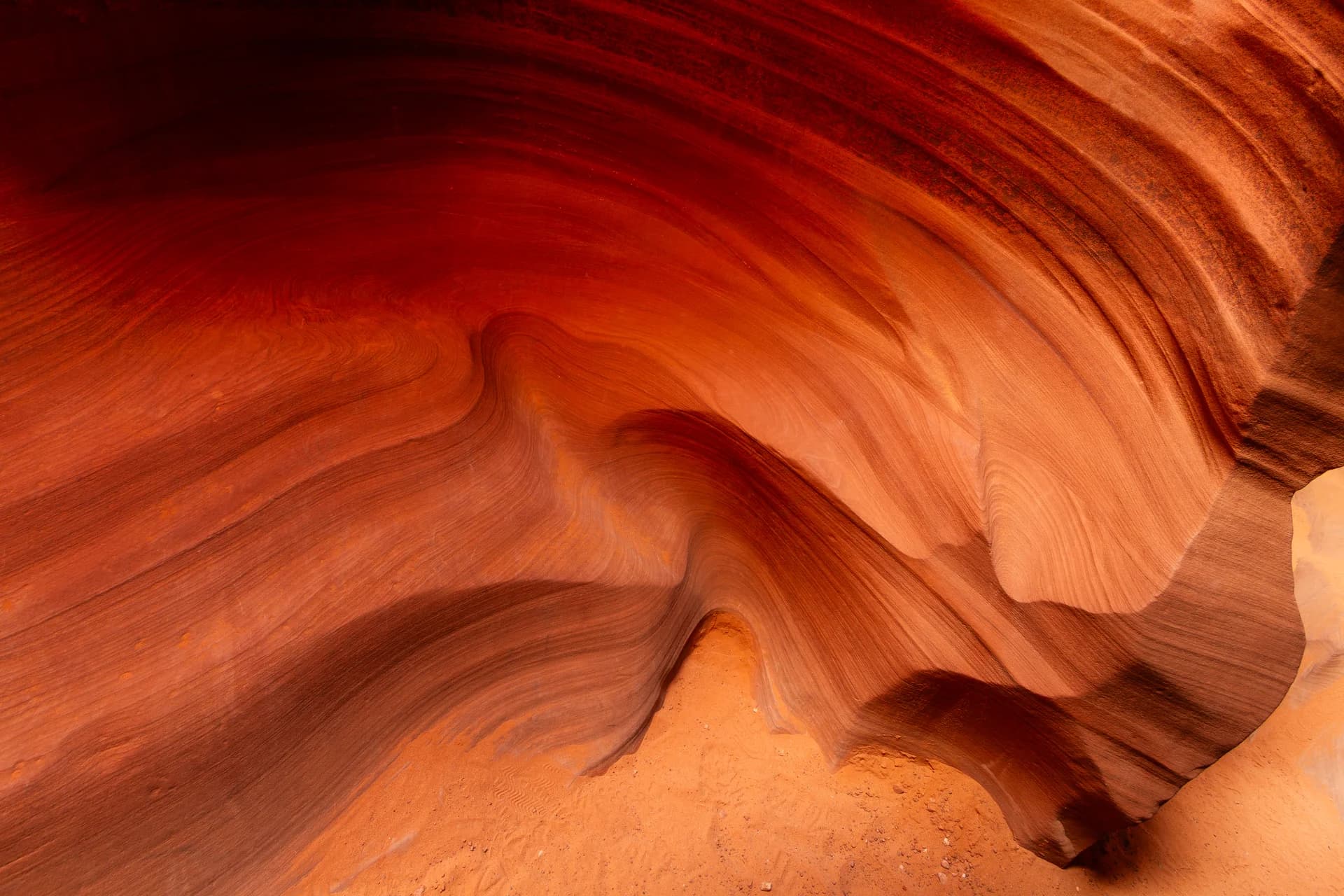 ANTELOPE FLEX