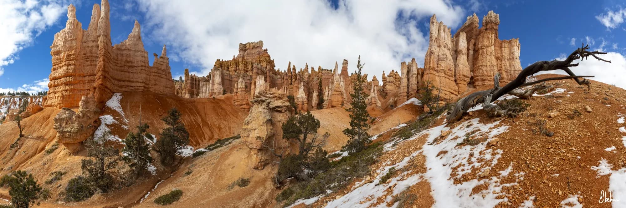 BRYCE ON THE SIDE