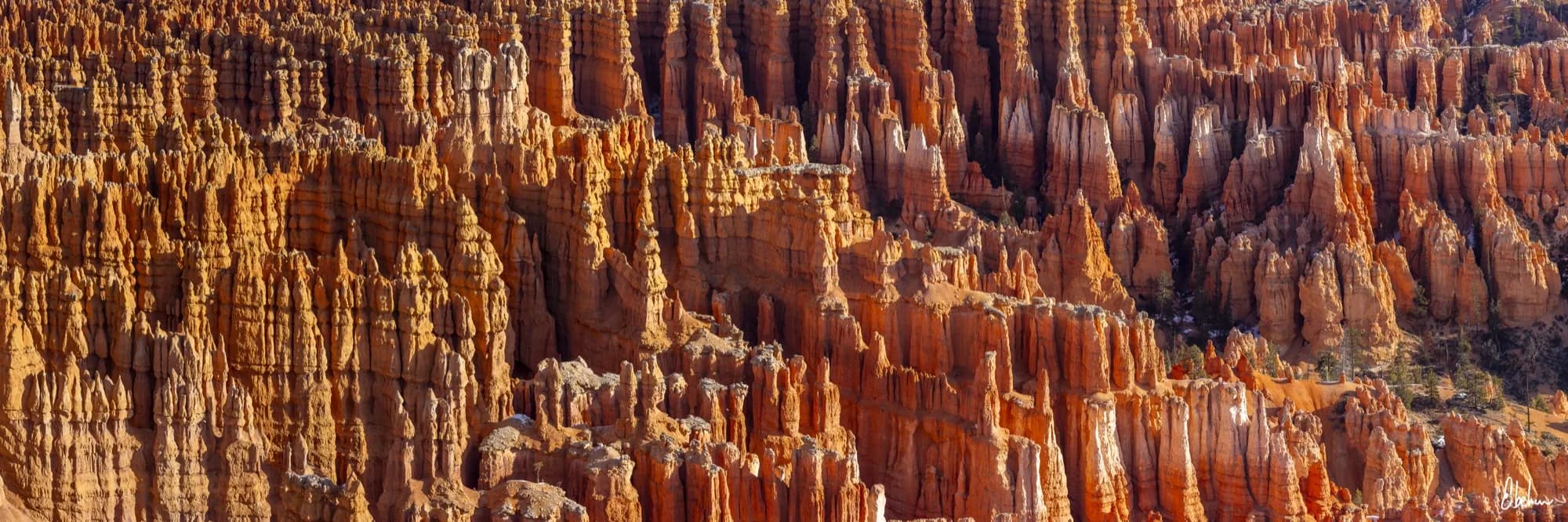 BRYCE PANO 01