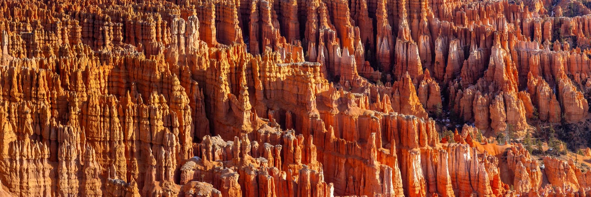 BRYCE PANO 01