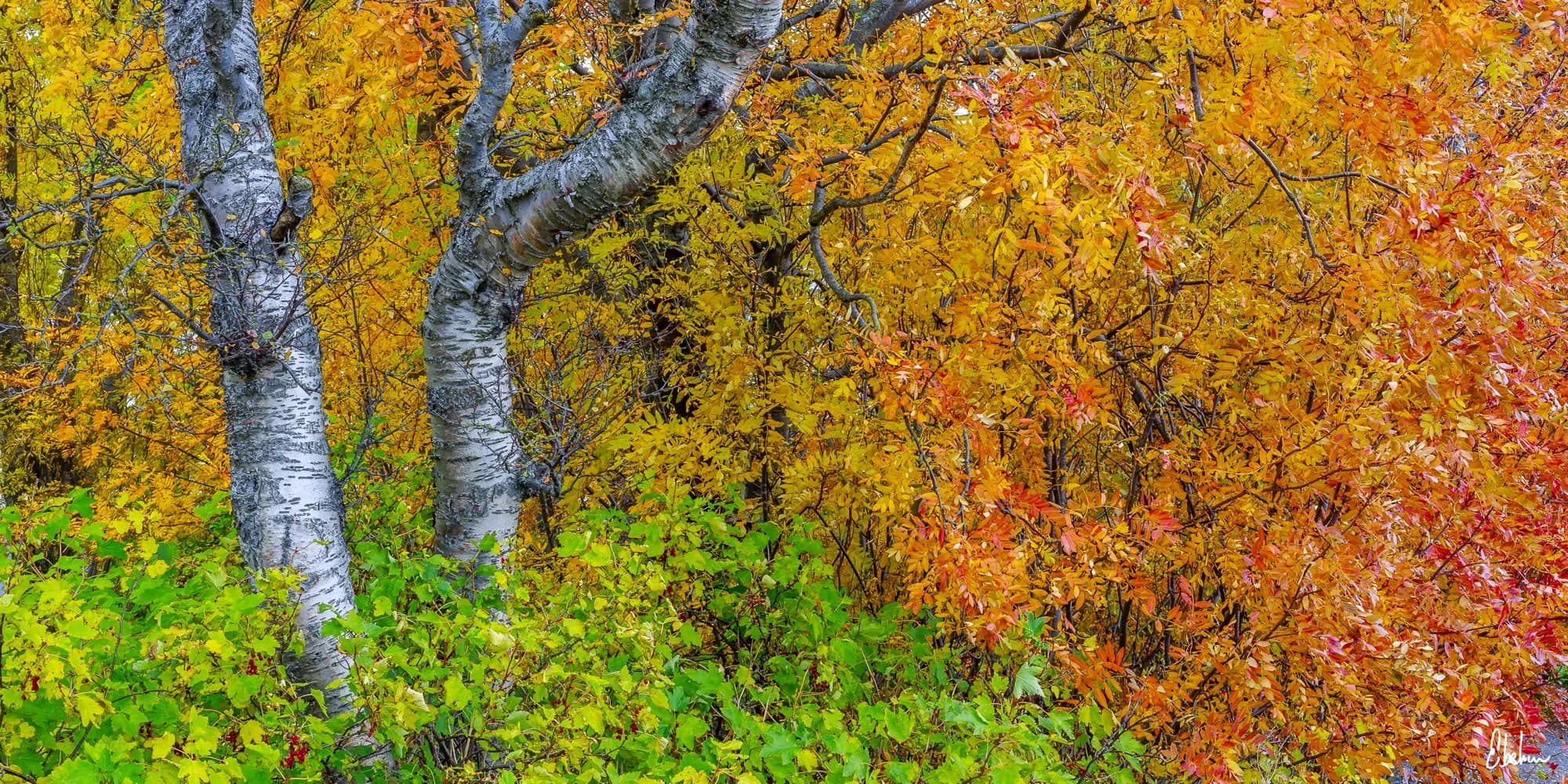 ICELAND COLORS