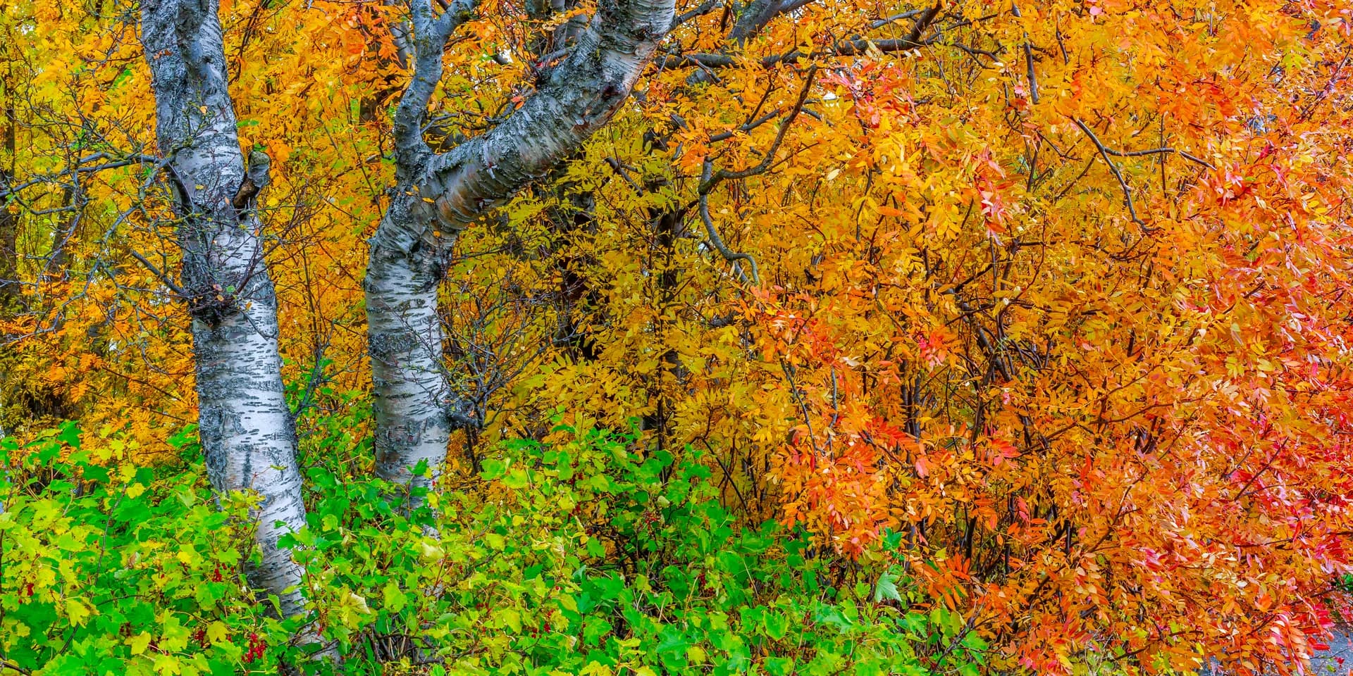 ICELAND COLORS