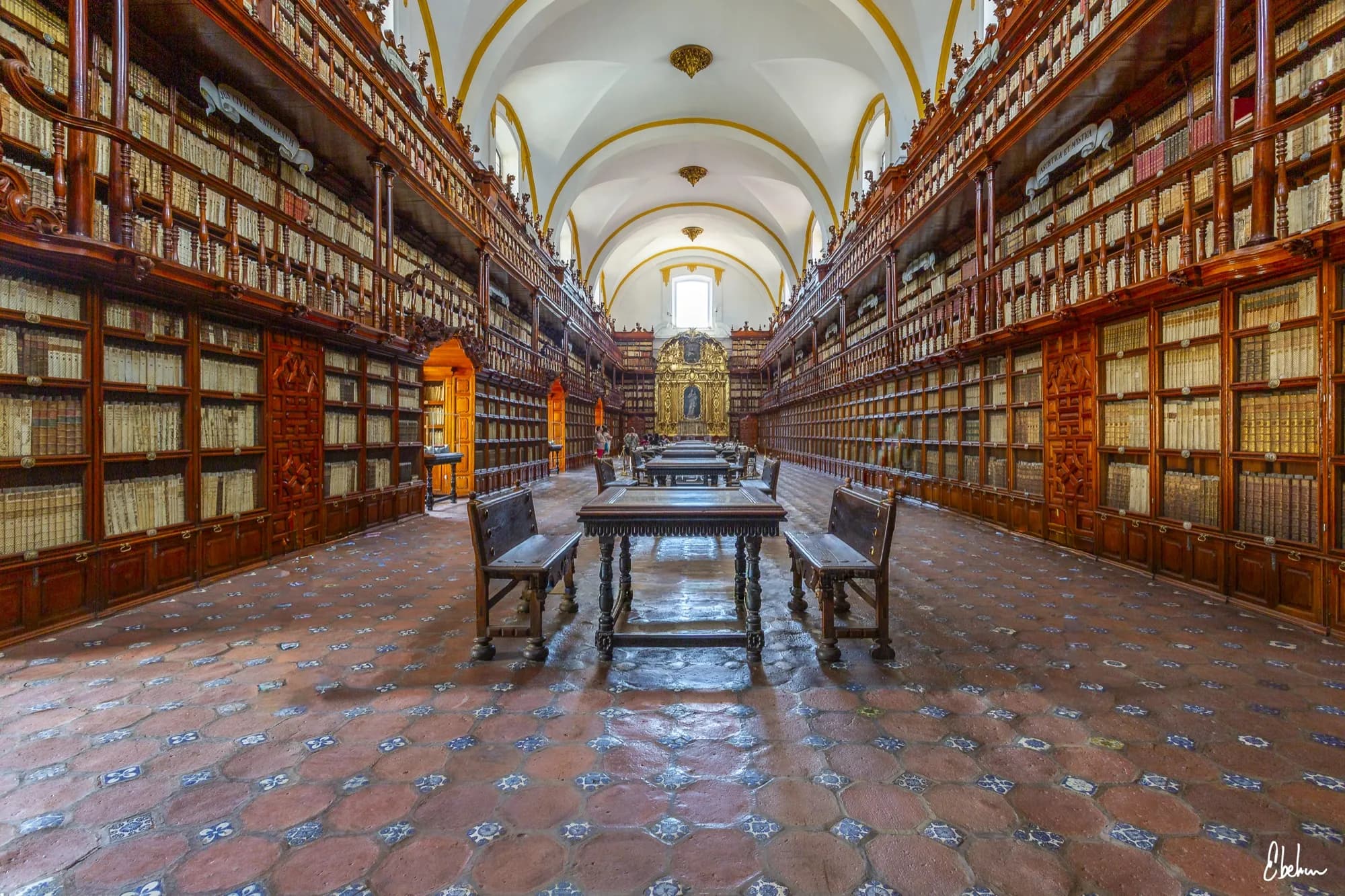 LIBRERIA PALAFOXIANA