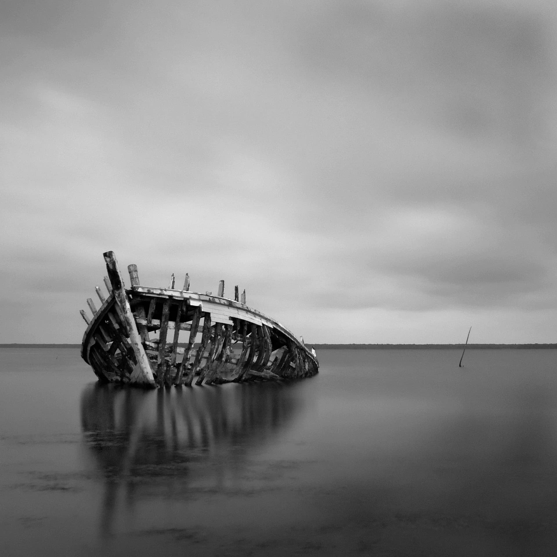 OLD SAILOR