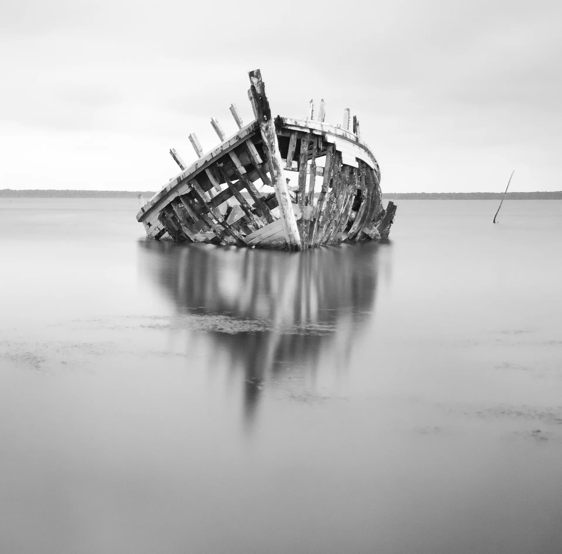 OLD SAILOR FRONT