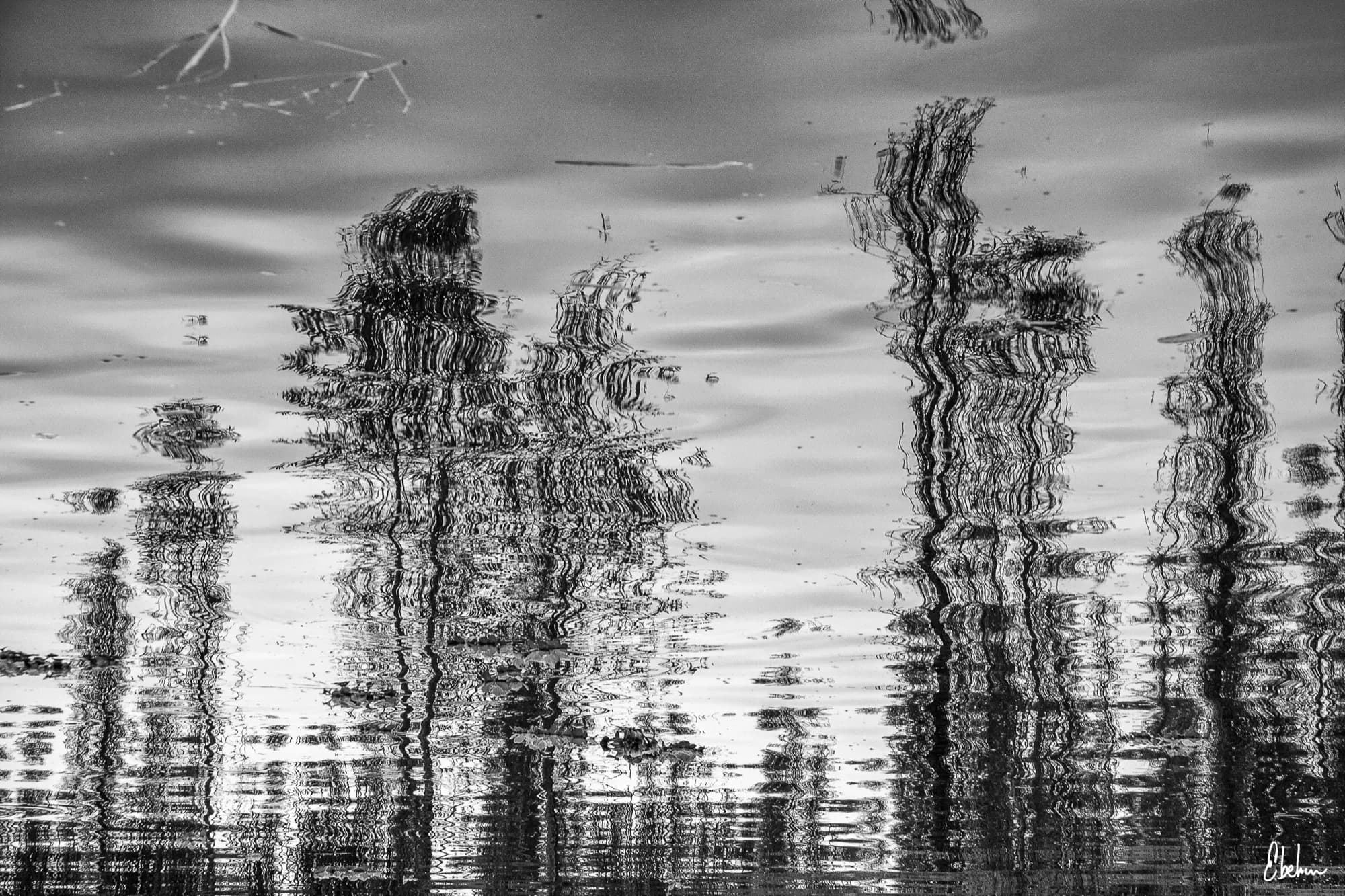 REFLEJOS 2