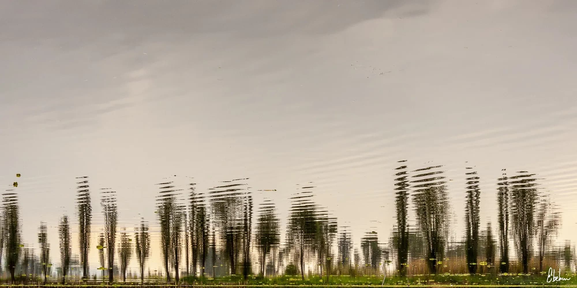 REFLEJOS III