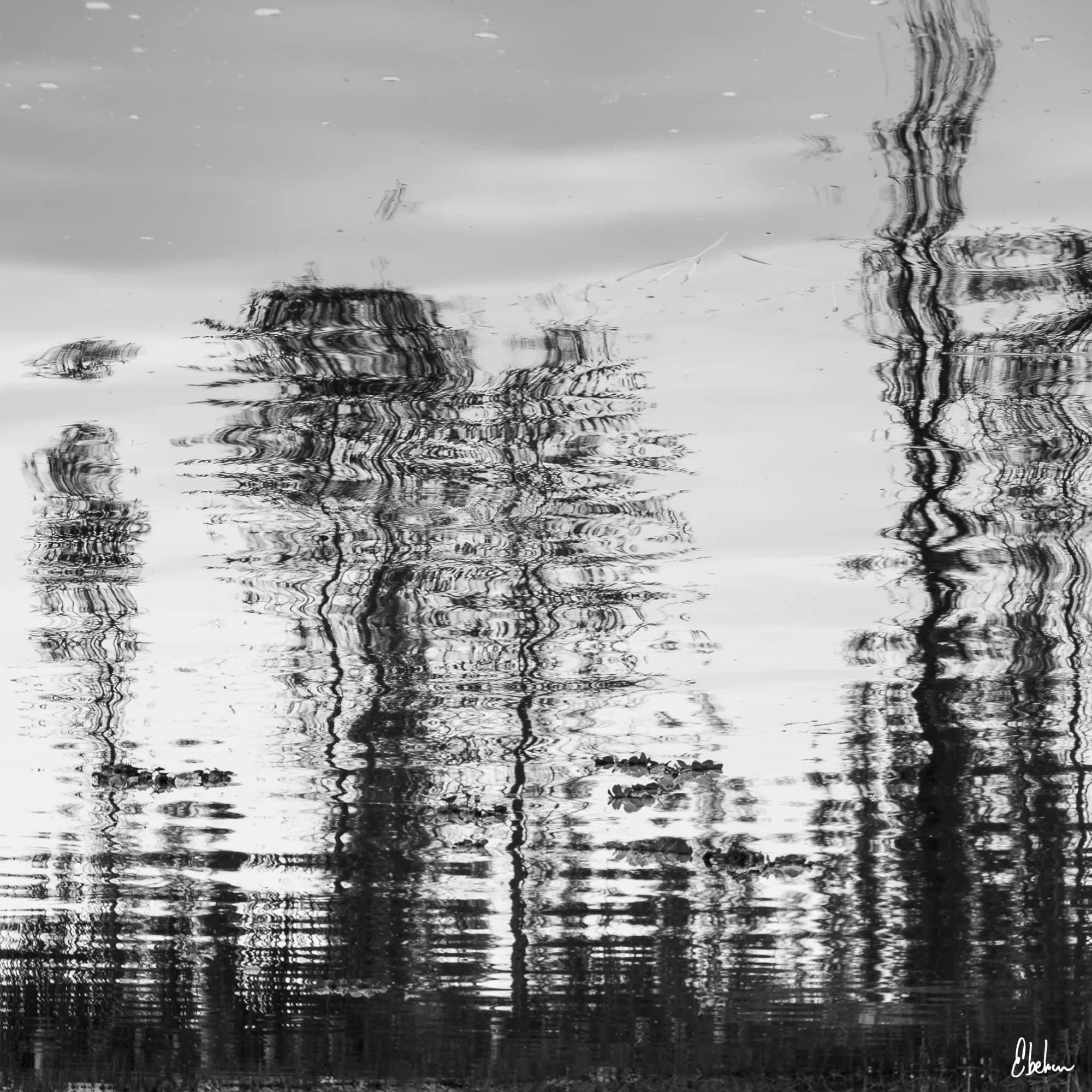REFLEJOS