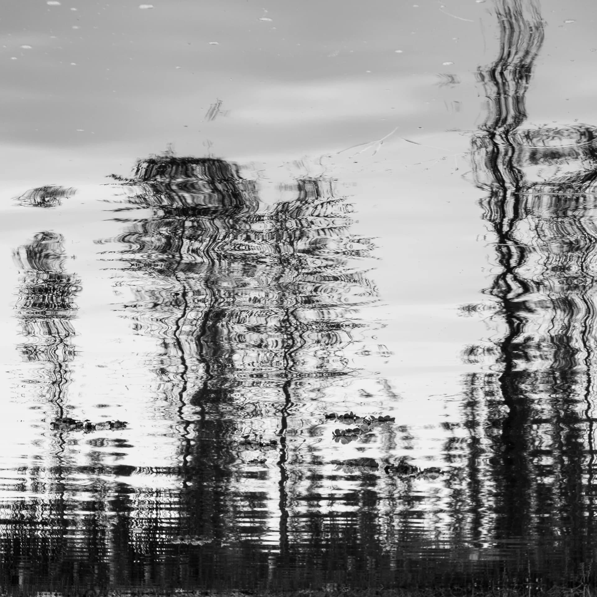 REFLEJOS