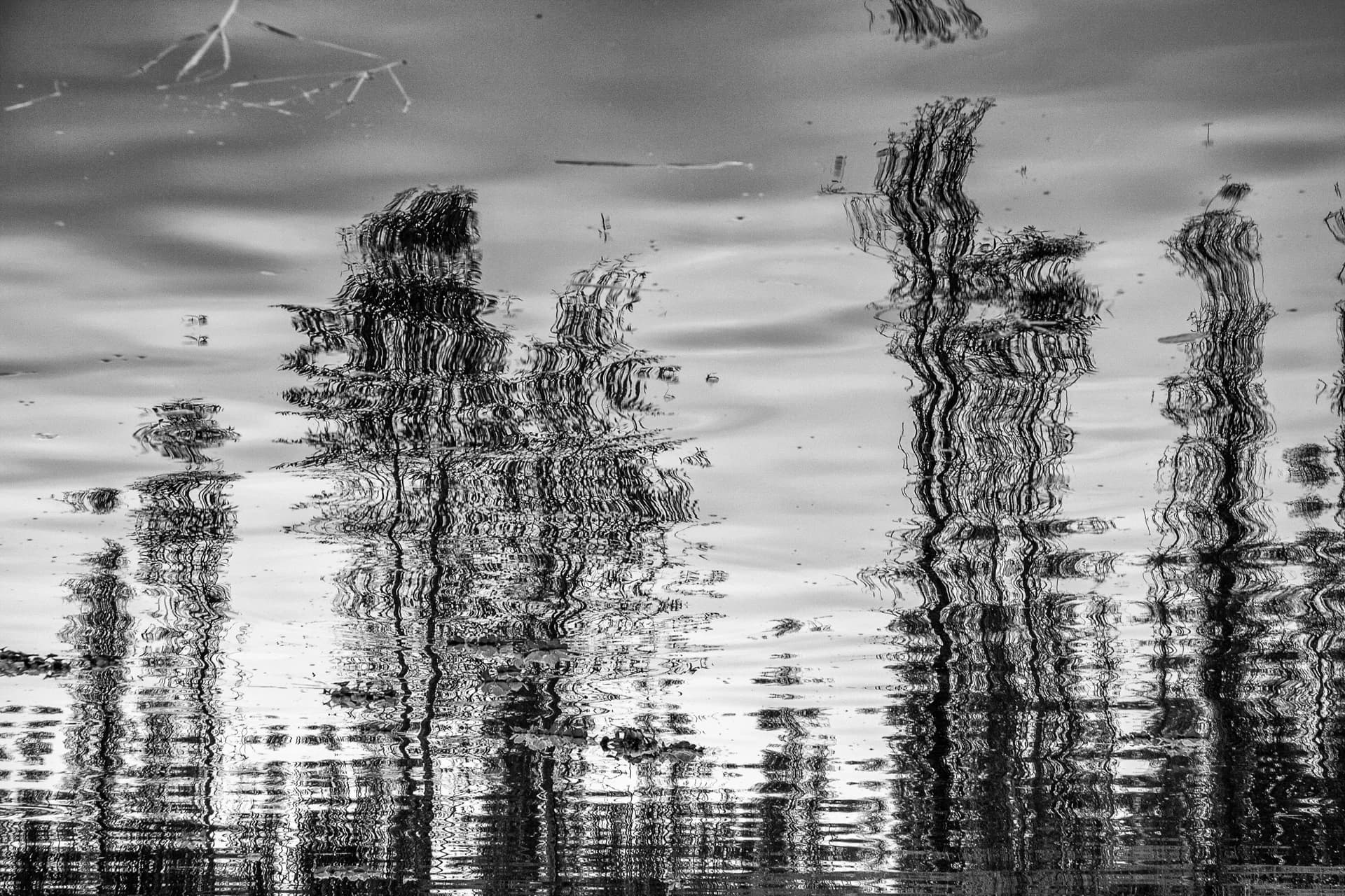 REFLEJOS 2