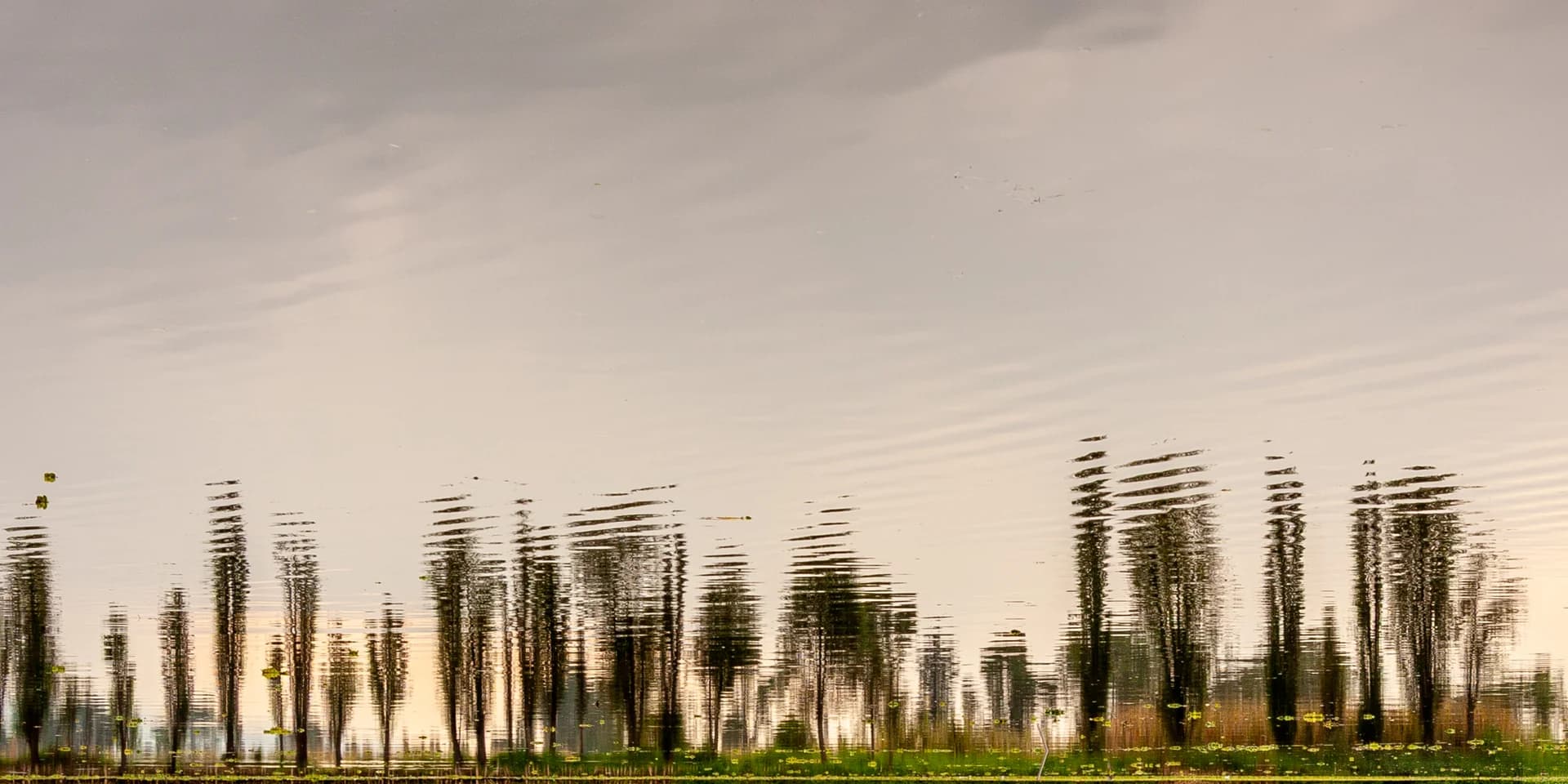 REFLEJOS III