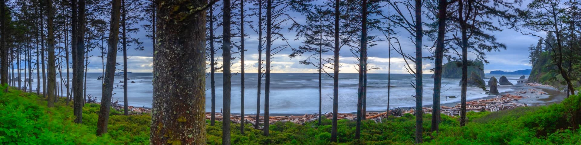 RUBY BEACH PANO