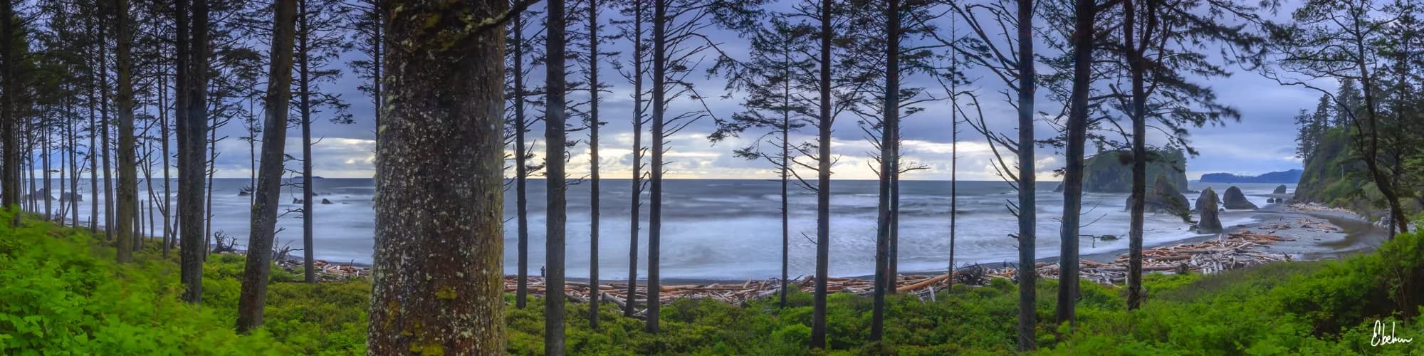 RUBY BEACH PANO