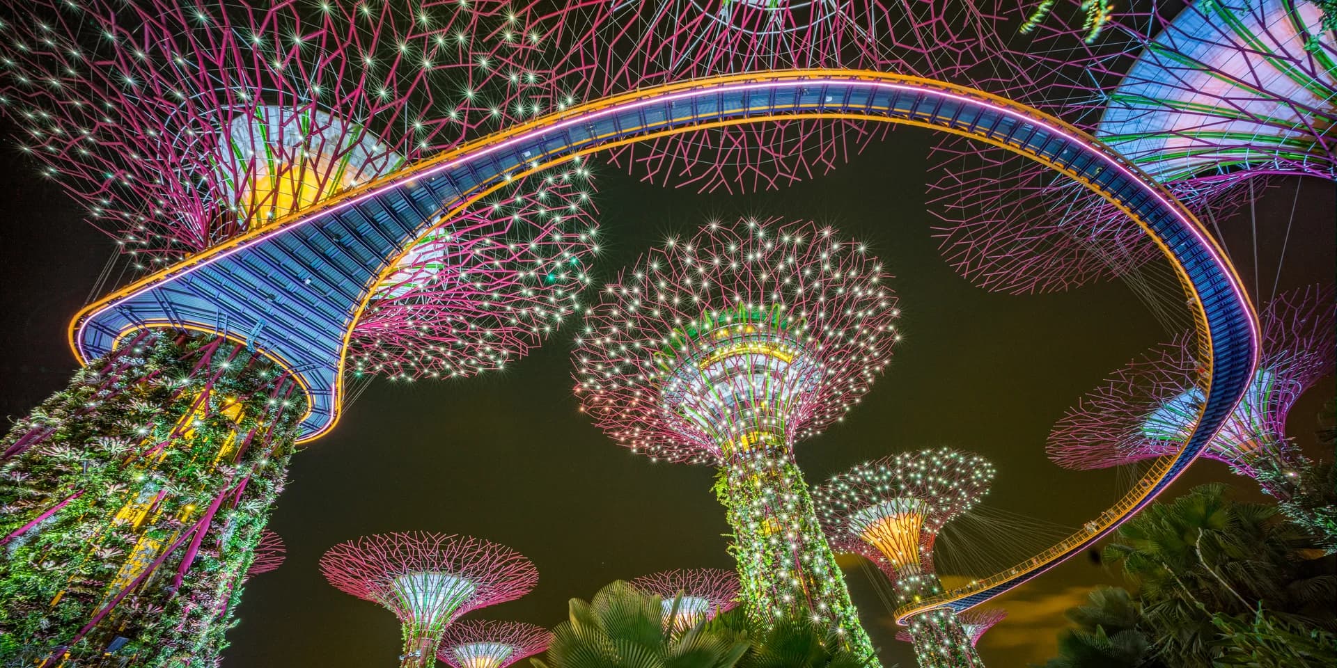 SINGAPORE TREES