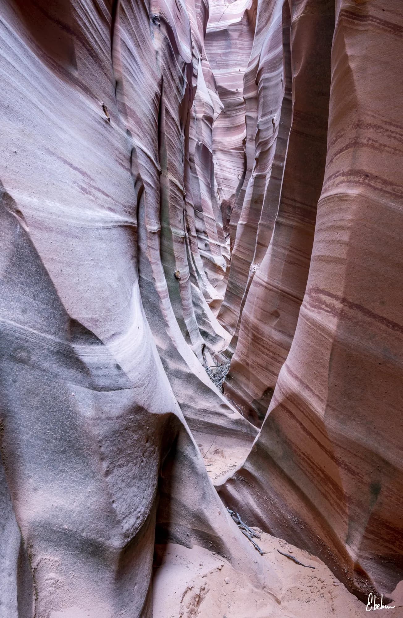 ZEBRA CANYON